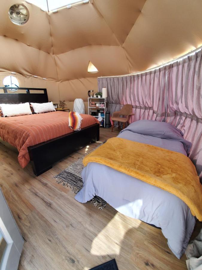 The Kosmic Tortoise Hotel Twentynine Palms Exterior foto