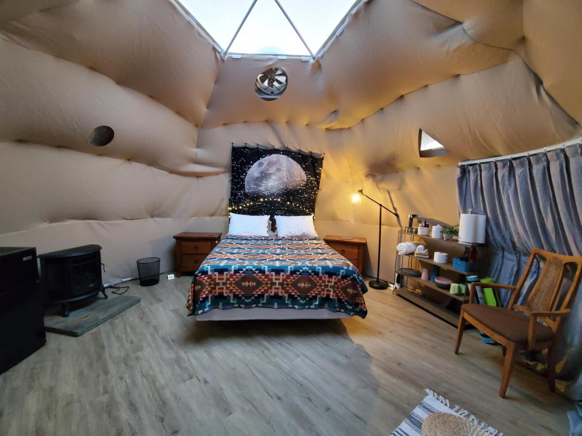 The Kosmic Tortoise Hotel Twentynine Palms Exterior foto